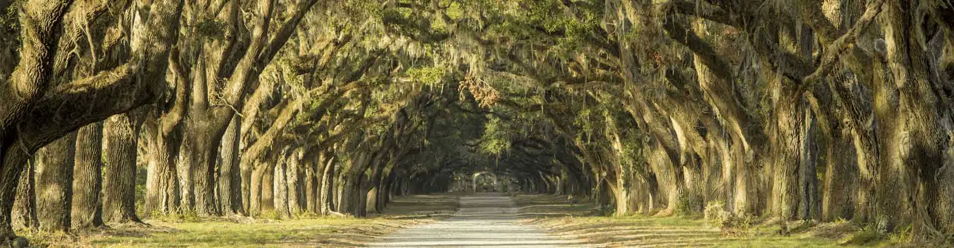 Holly Springs, Georgia neighborhood